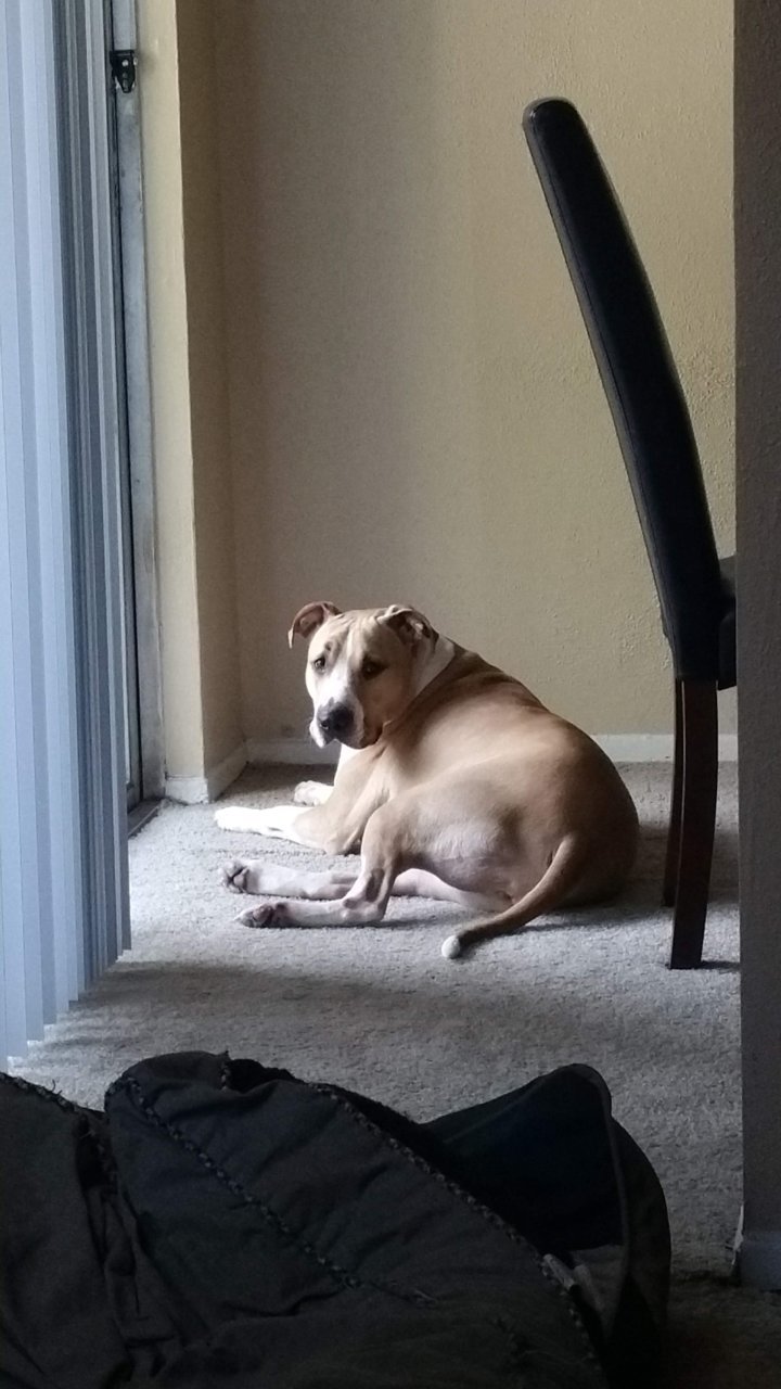 20180630_171528.jpg