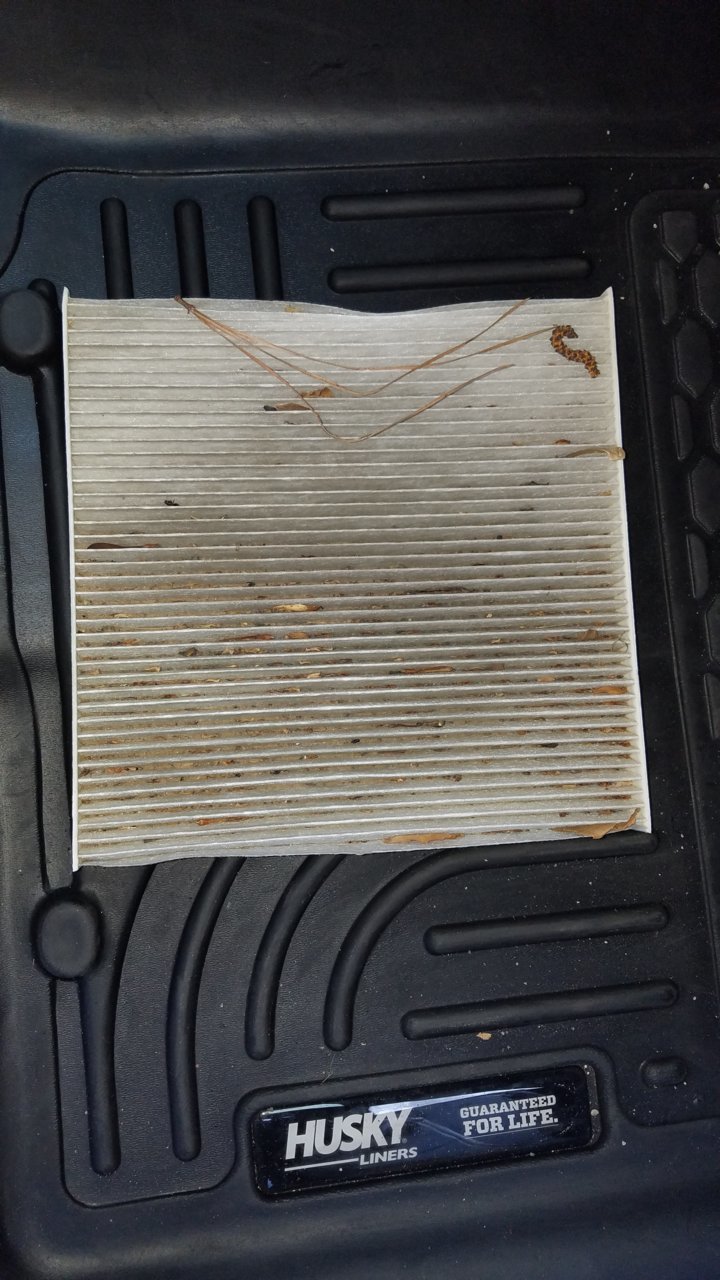 20180630_172459.jpg