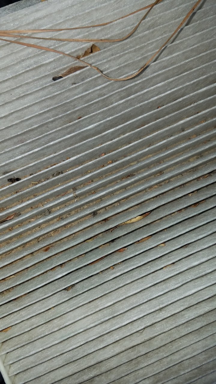 20180630_172509.jpg
