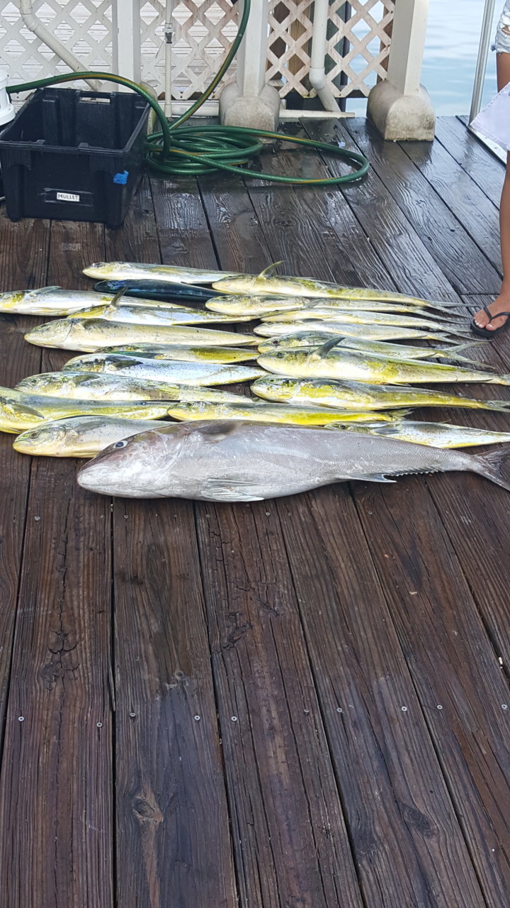 20180630_180104.jpg