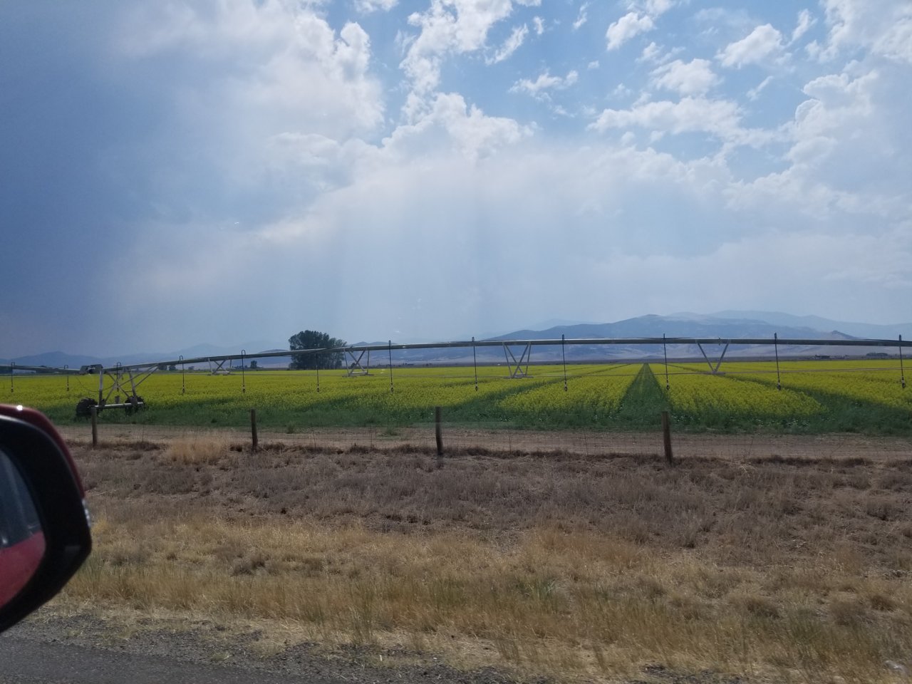 20180701_154219.jpg