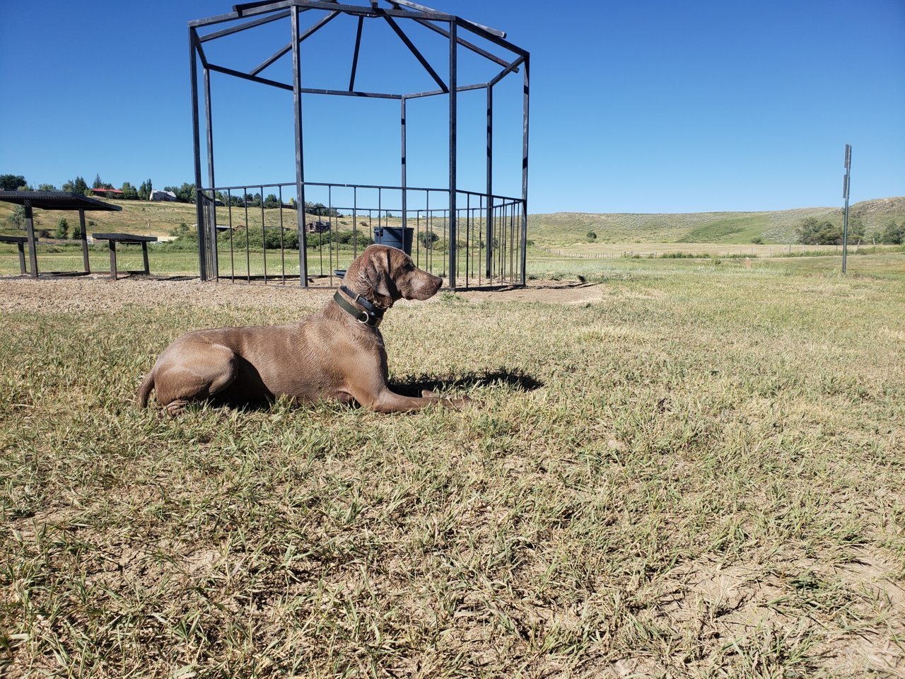 20180701_172646.jpg