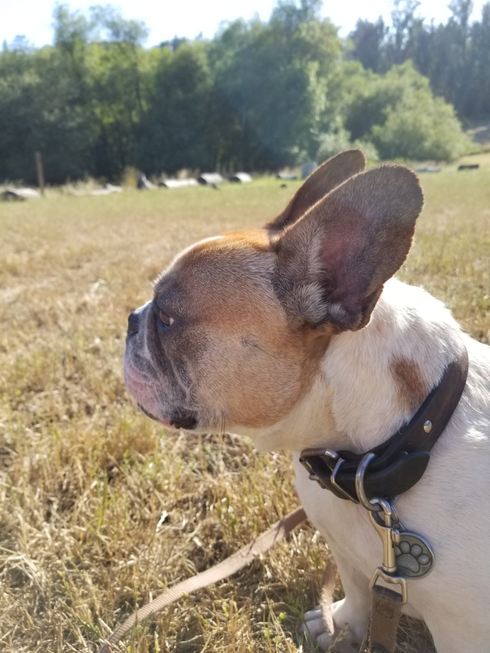 20180701_174259.jpg