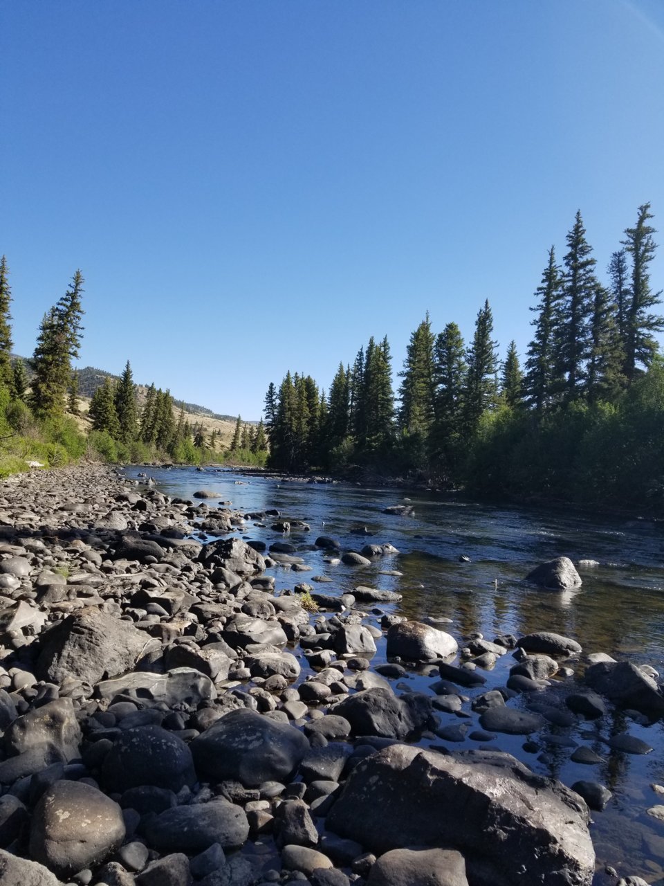 20180702_085719.jpg
