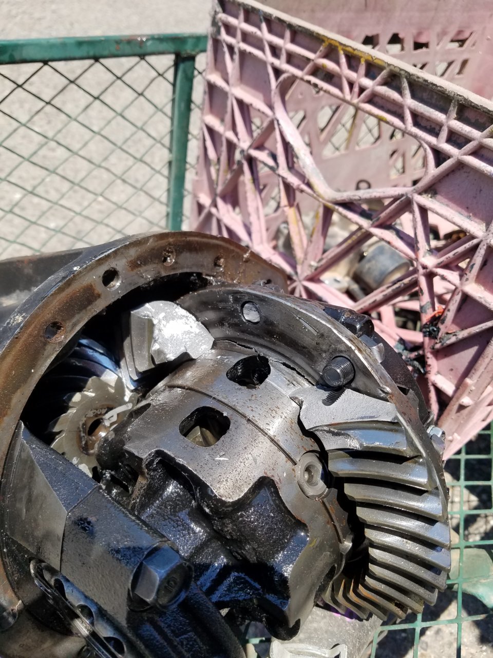 20180702_124304.jpg