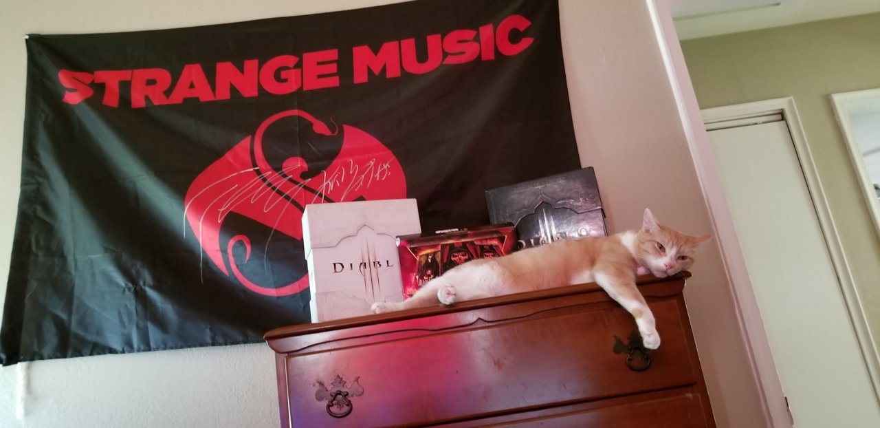 20180702_165642.jpg