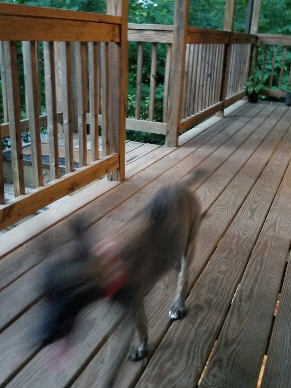 20180702_204220.jpg