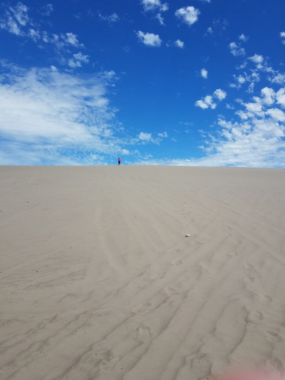 20180703_130834.jpg