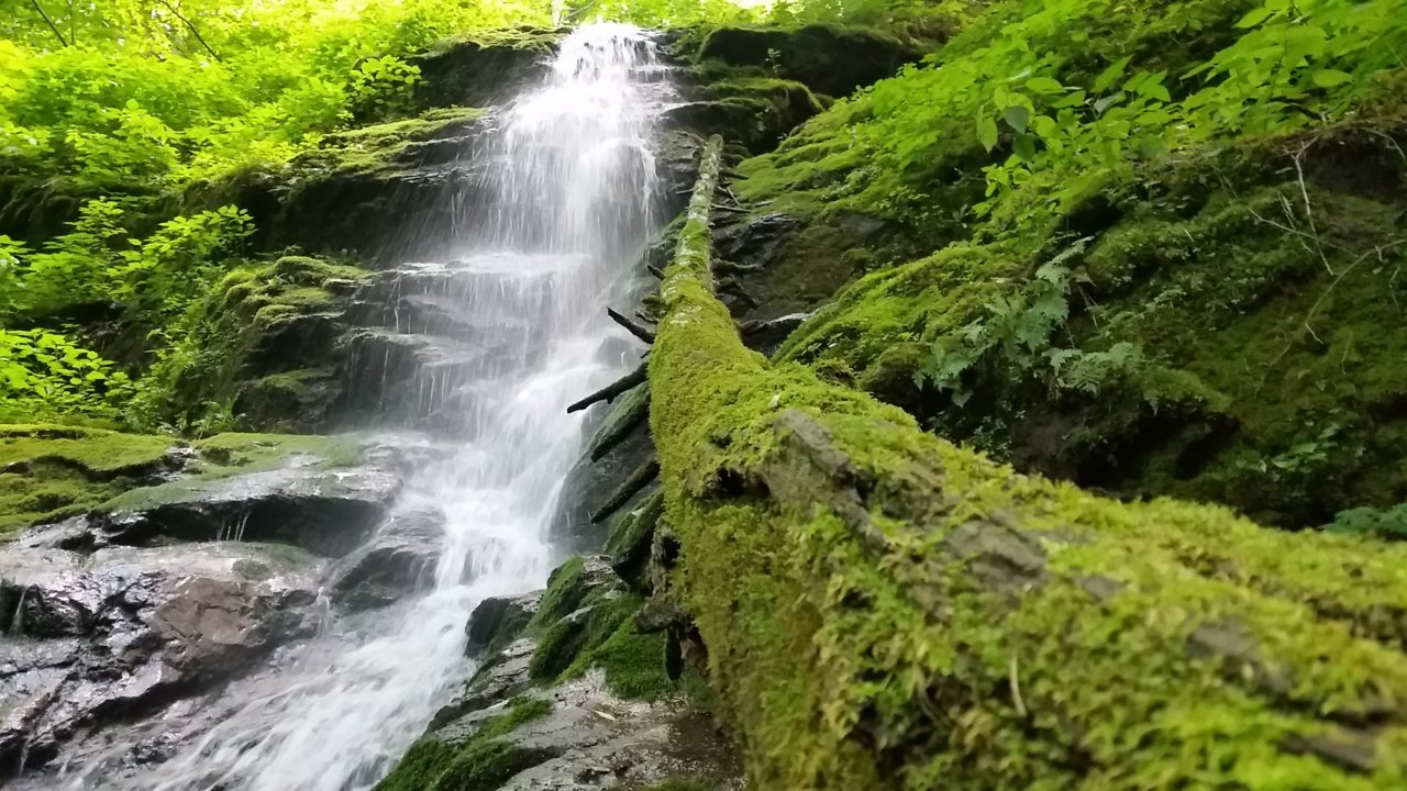 20180703_155129.jpg