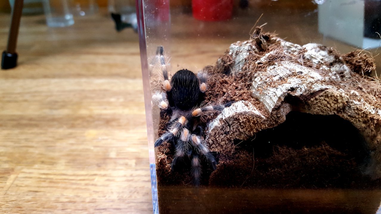 20180703_165739.jpg