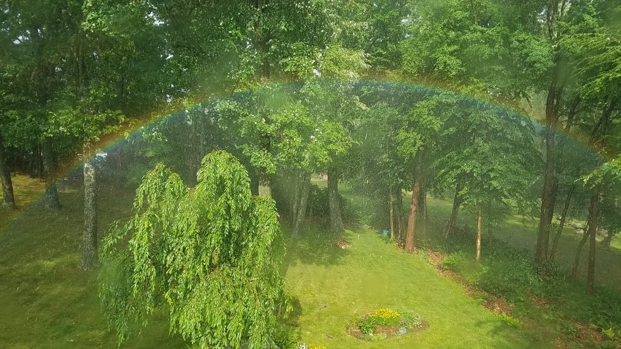 20180703_171915.jpg