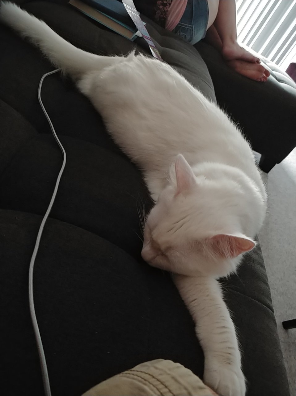 20180703_195531.jpg
