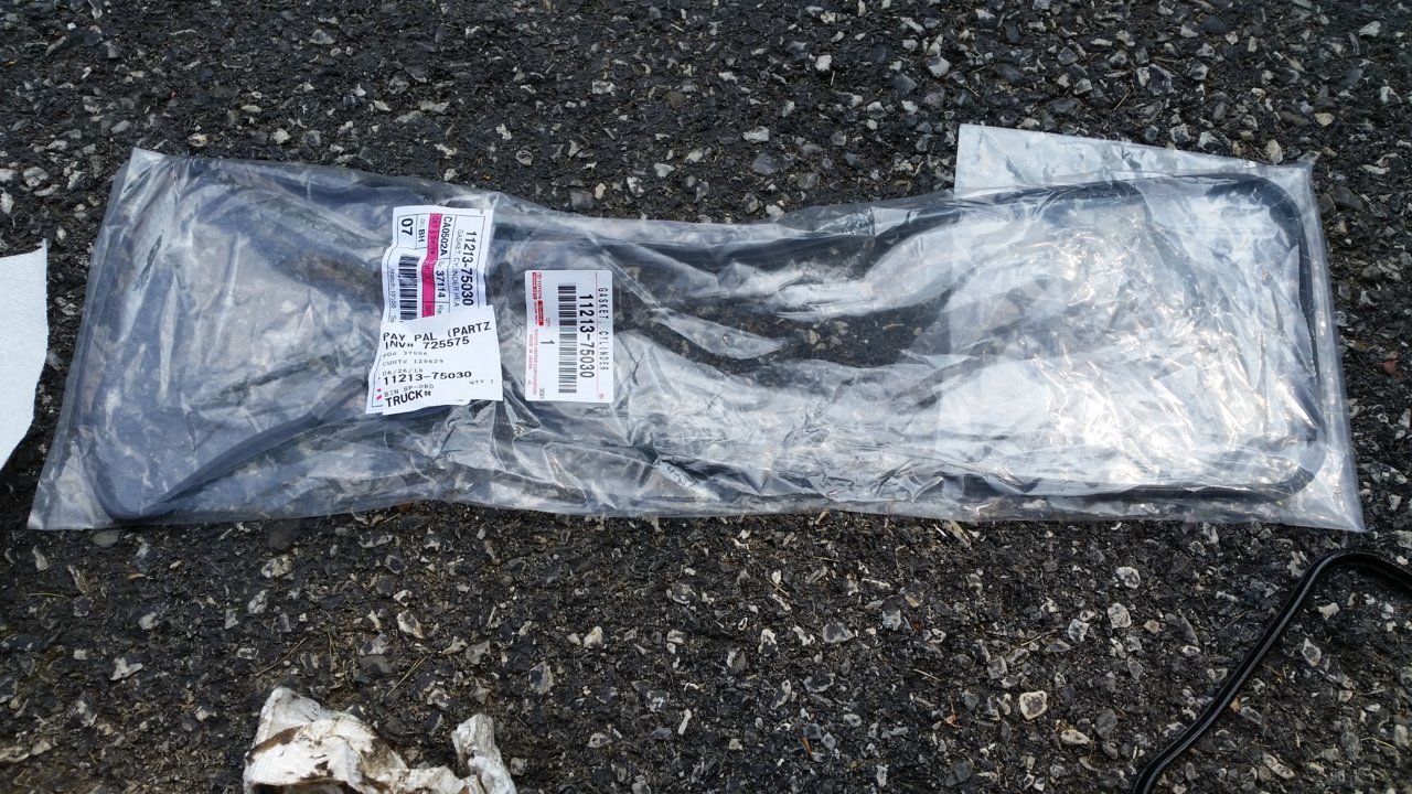 20180704_100904.jpg