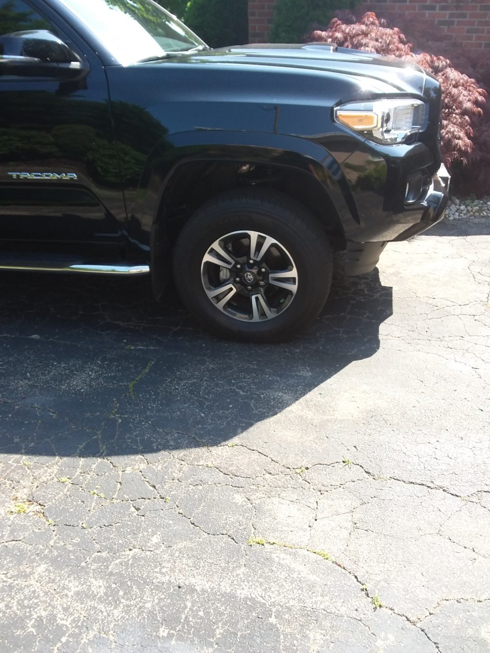 20180704_101733.jpg