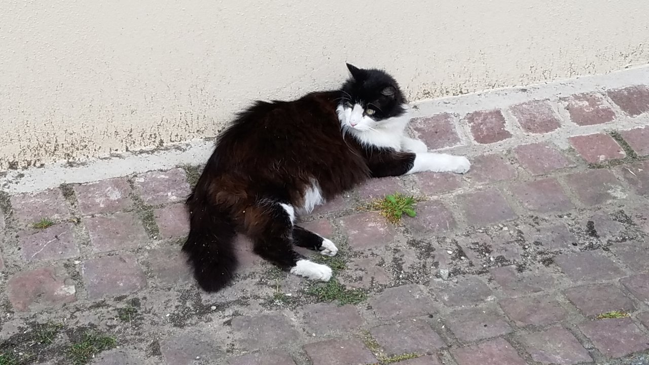 20180704_125243.jpg