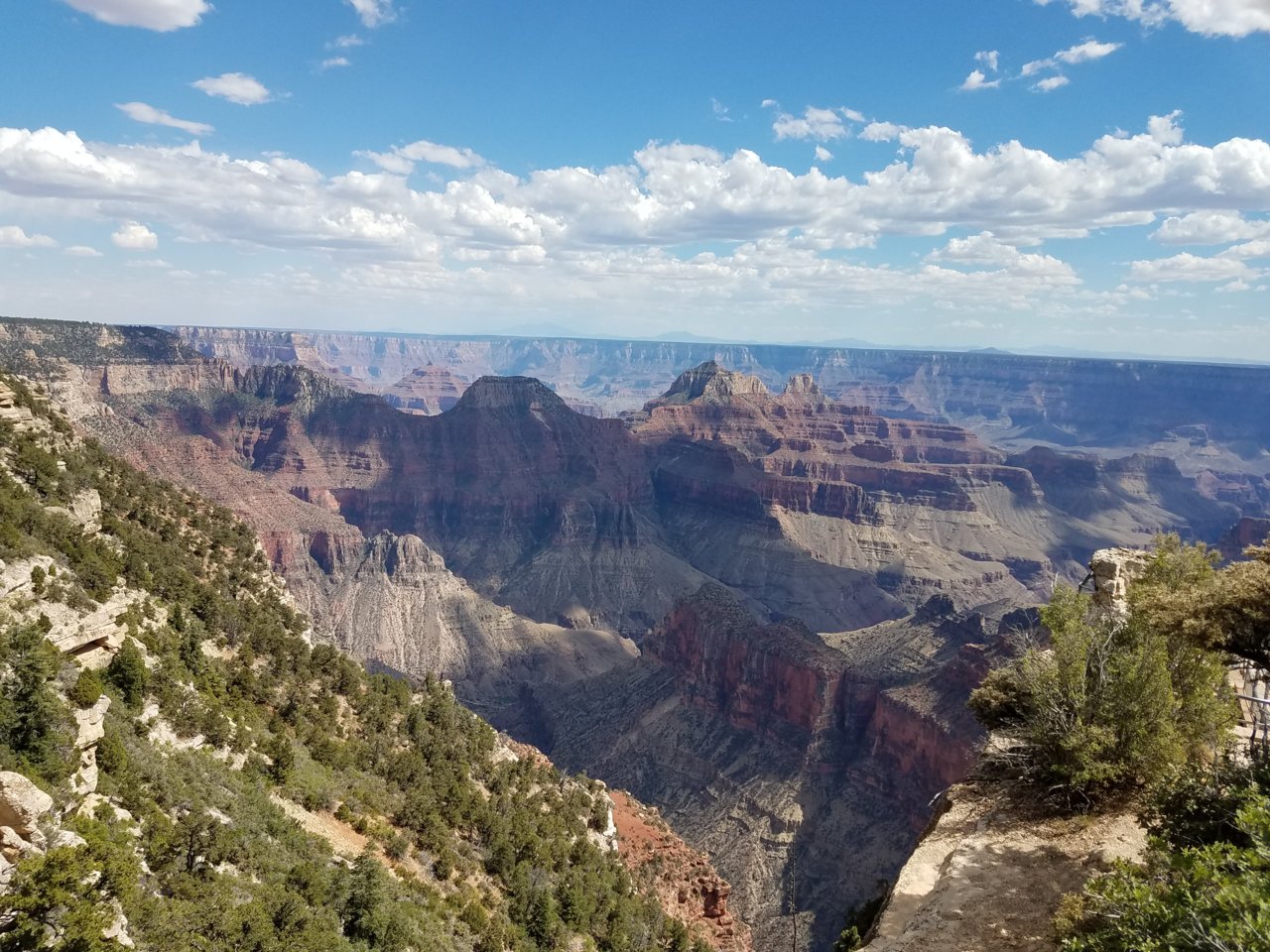 20180705_151048.jpg