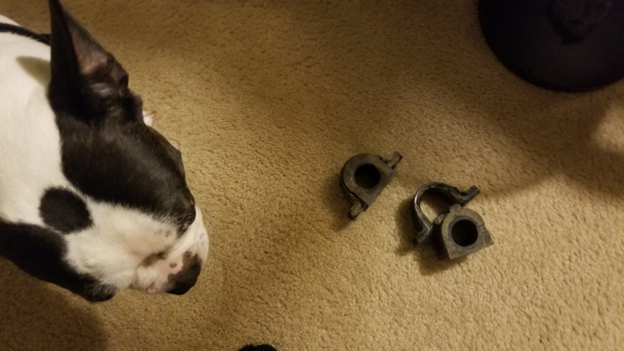 20180706_045517.jpg