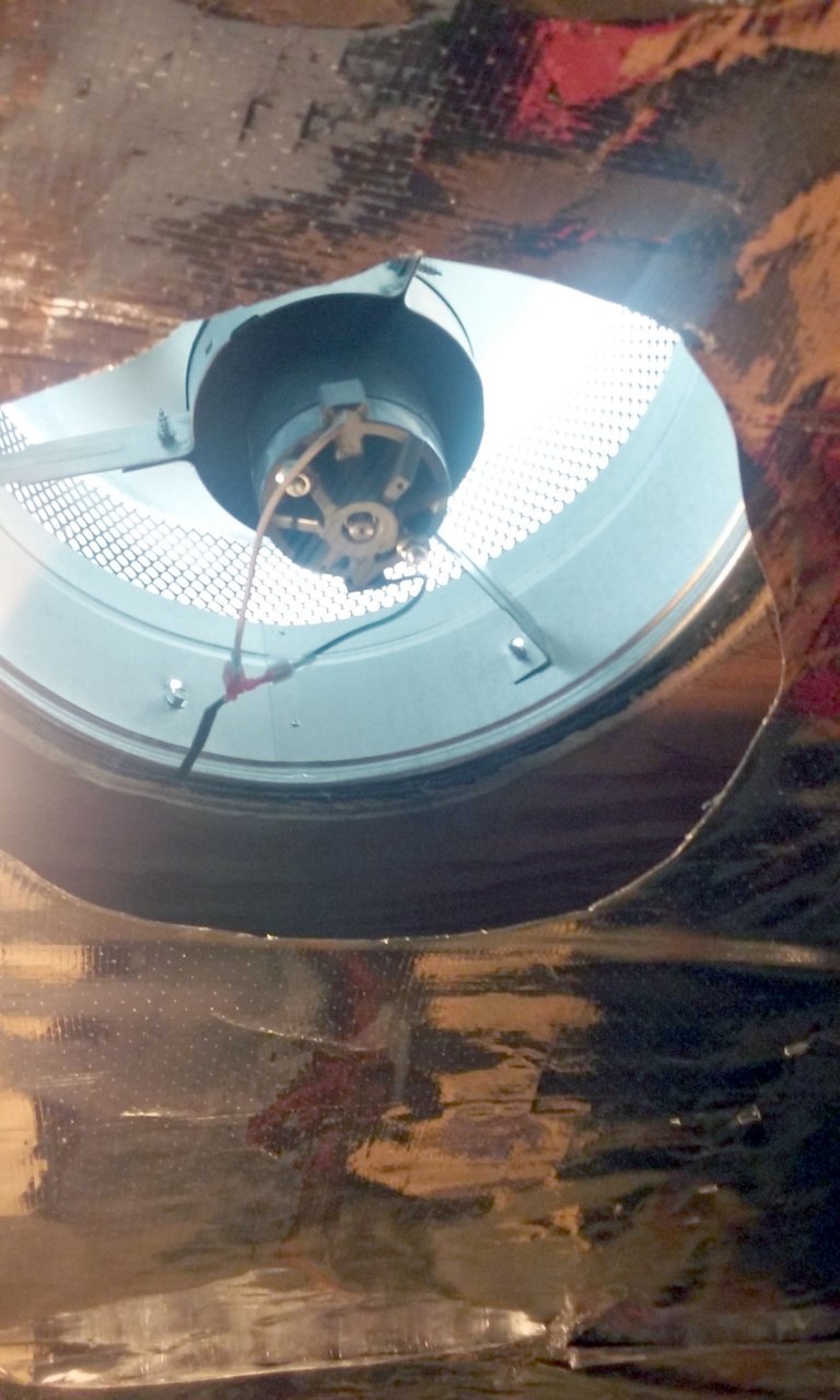 20180706_104141.jpg