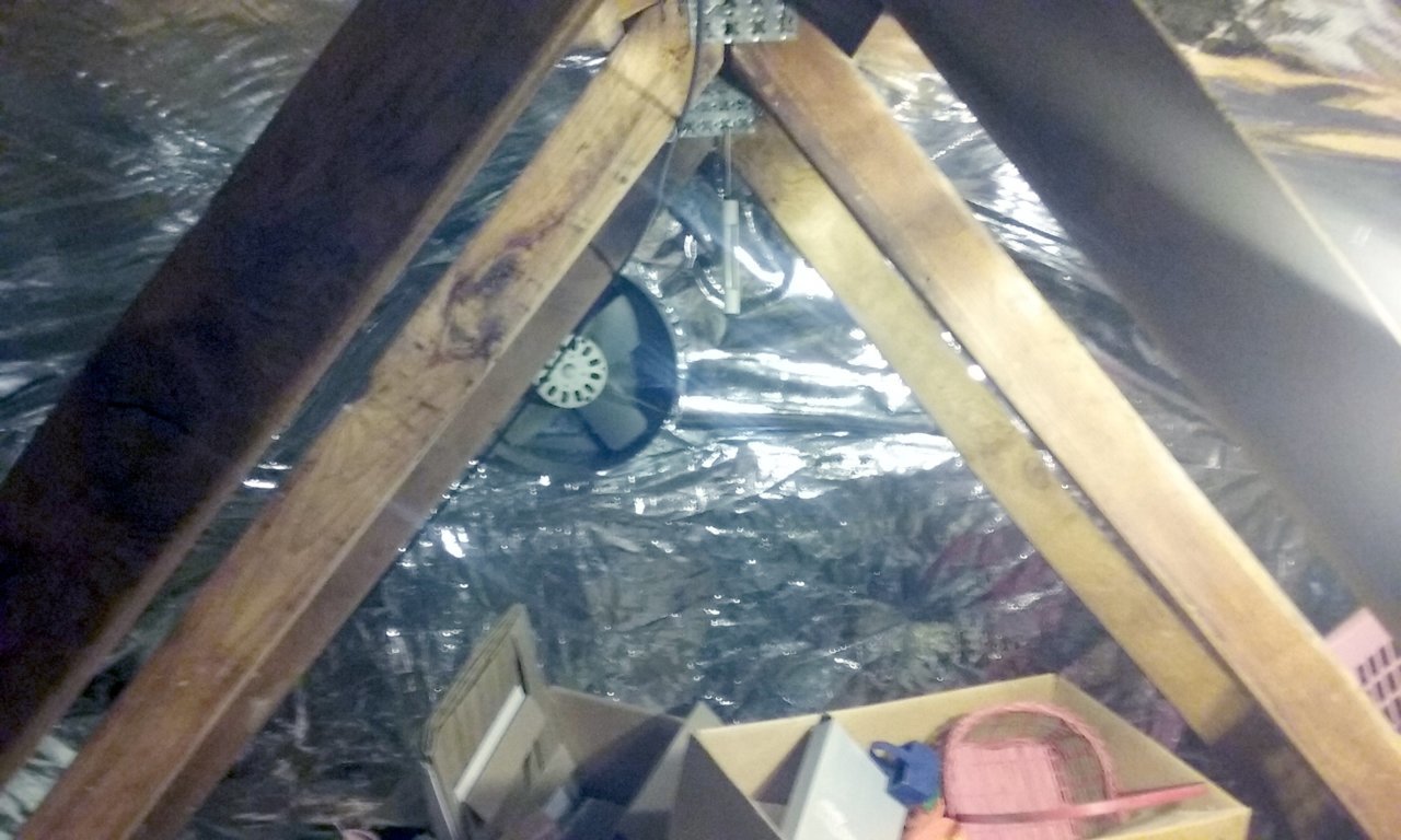 20180706_104325.jpg