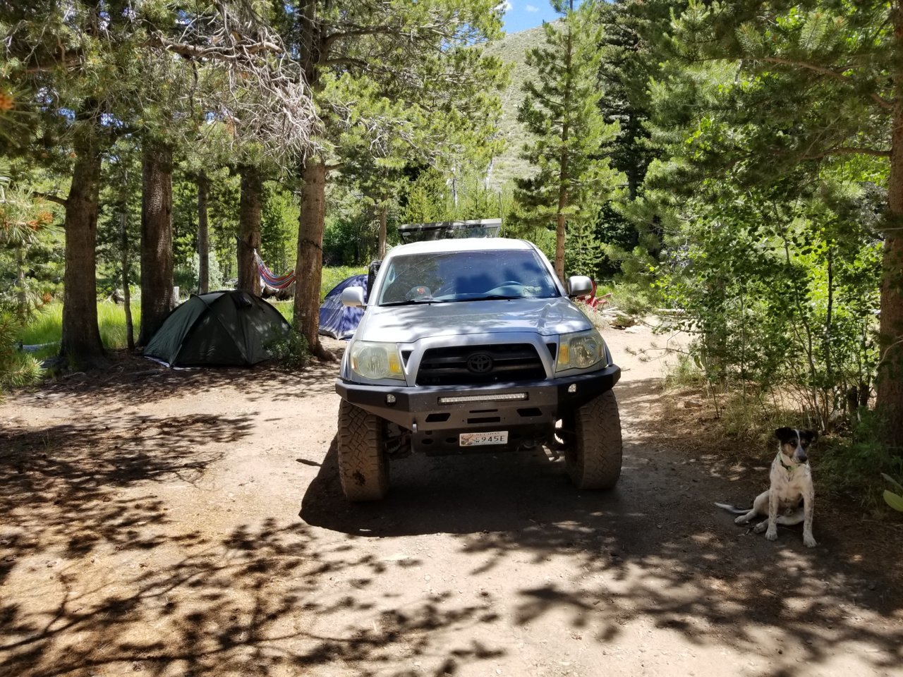 20180706_125335.jpg