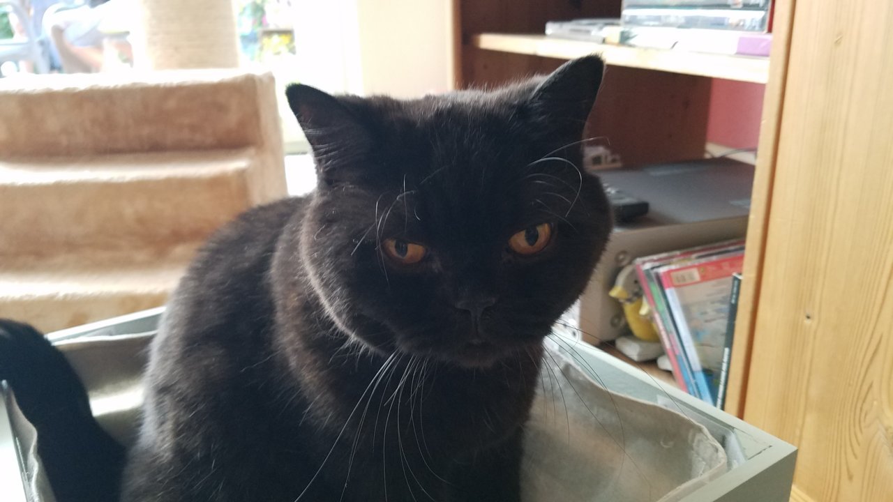 20180706_202445.jpg