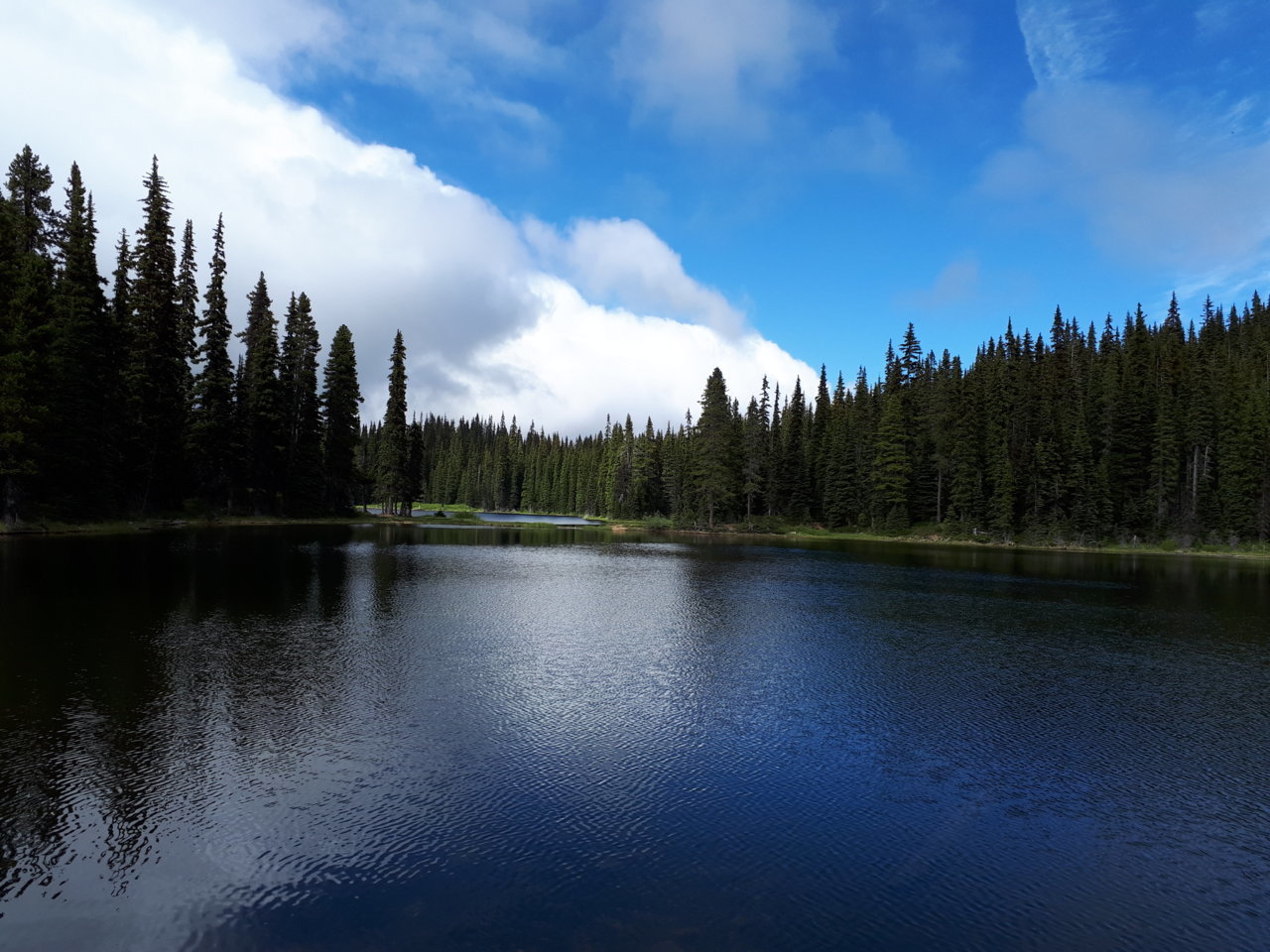 20180707_160906.jpg