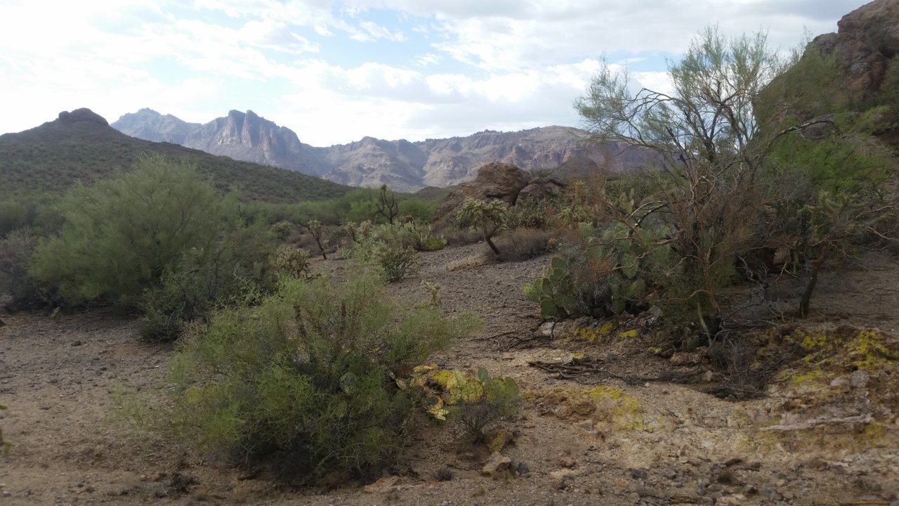 20180707_163924.jpg