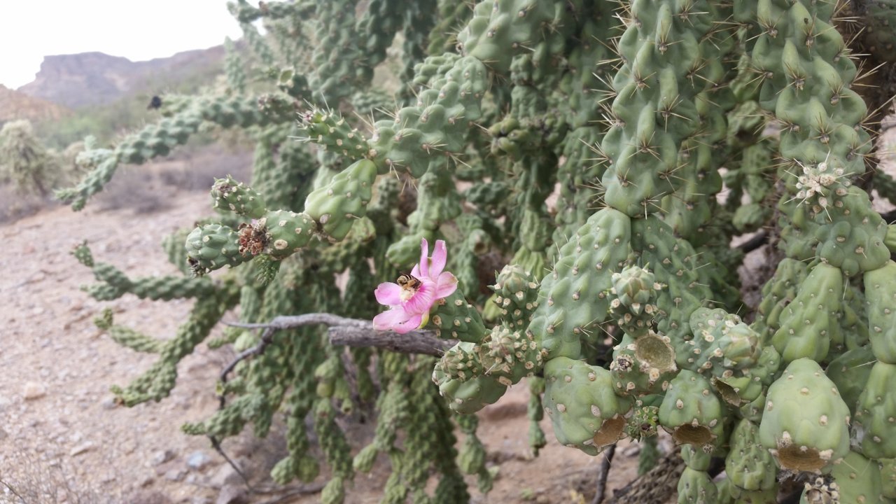 20180707_172540.jpg