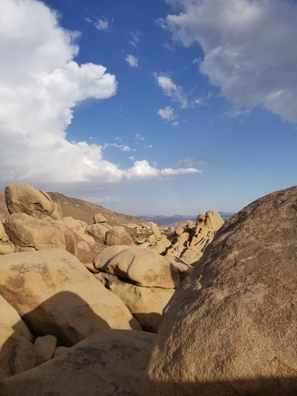 20180707_182252.jpg