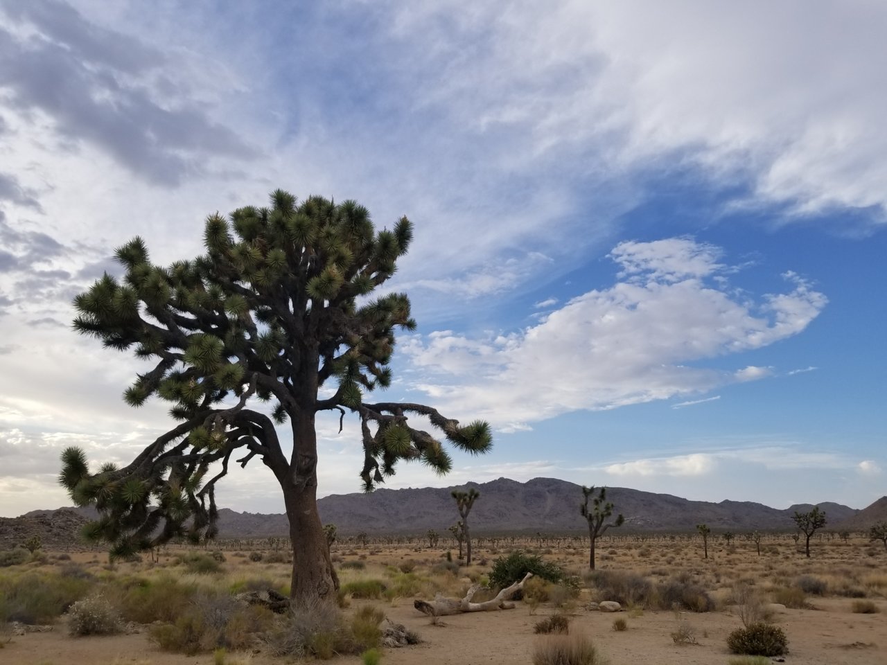 20180707_190726.jpg