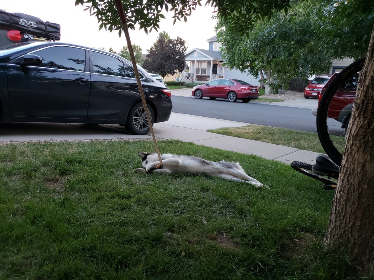 20180707_202647.jpg