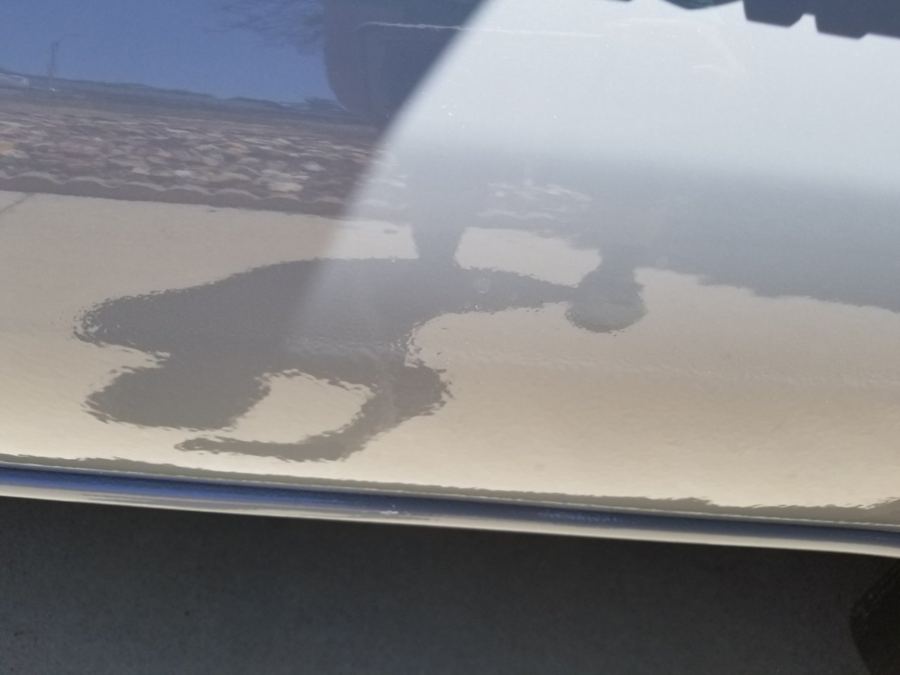 20180708_115935.jpg