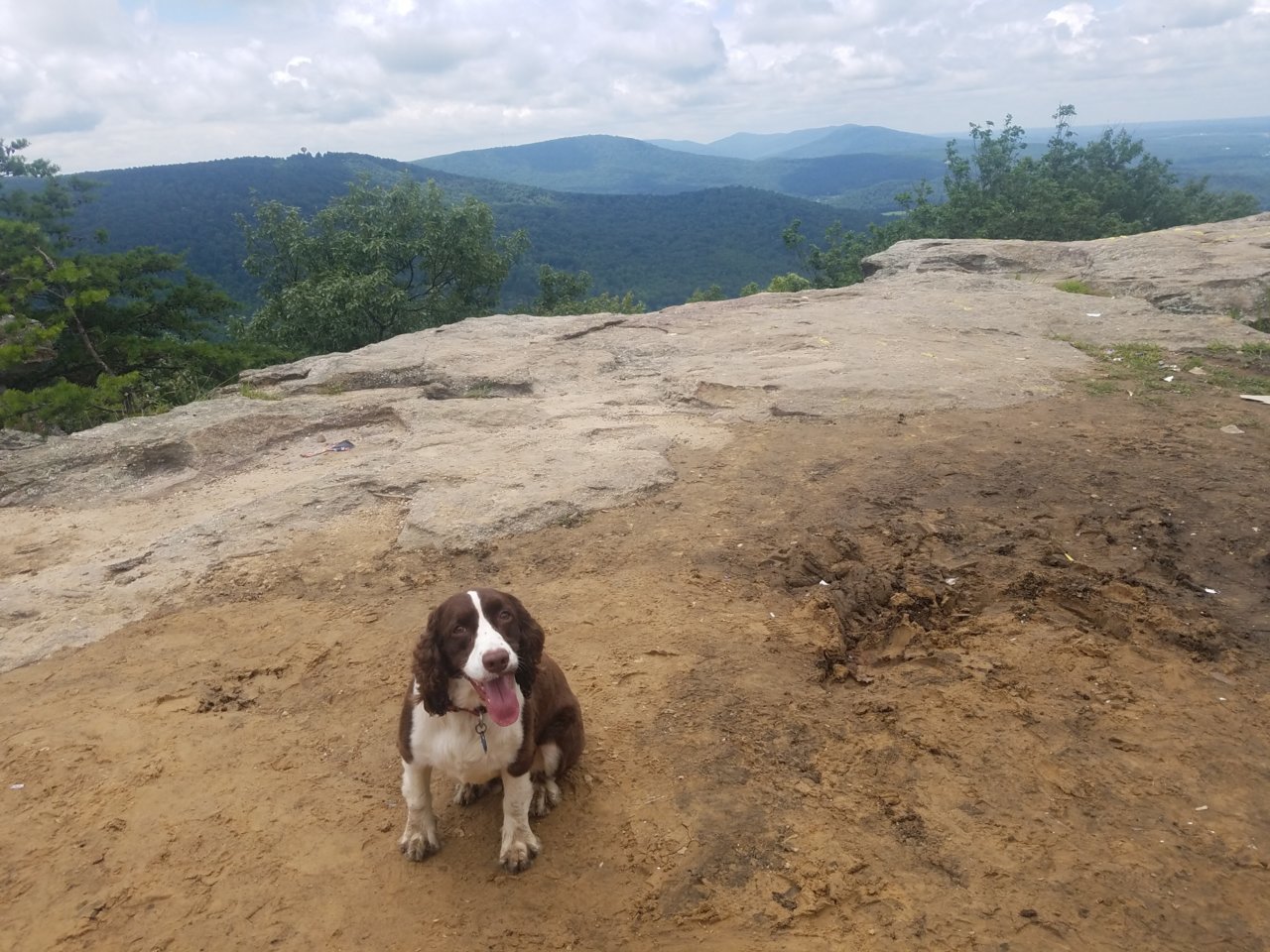20180708_120804_resized.jpg