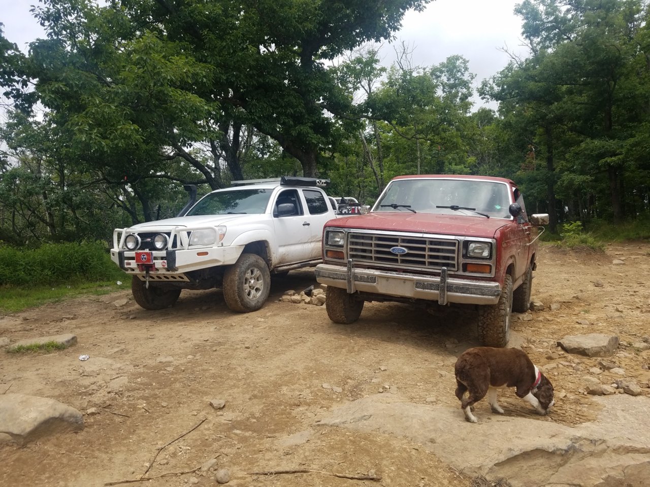 20180708_120917_resized.jpg