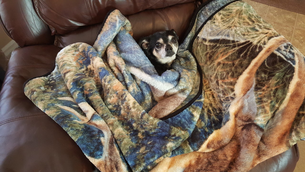 20180709_081513.jpg
