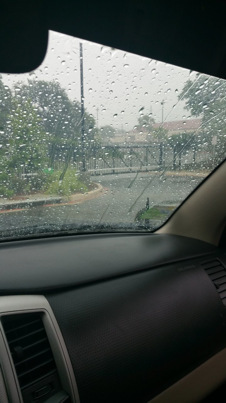 20180709_120838.jpg