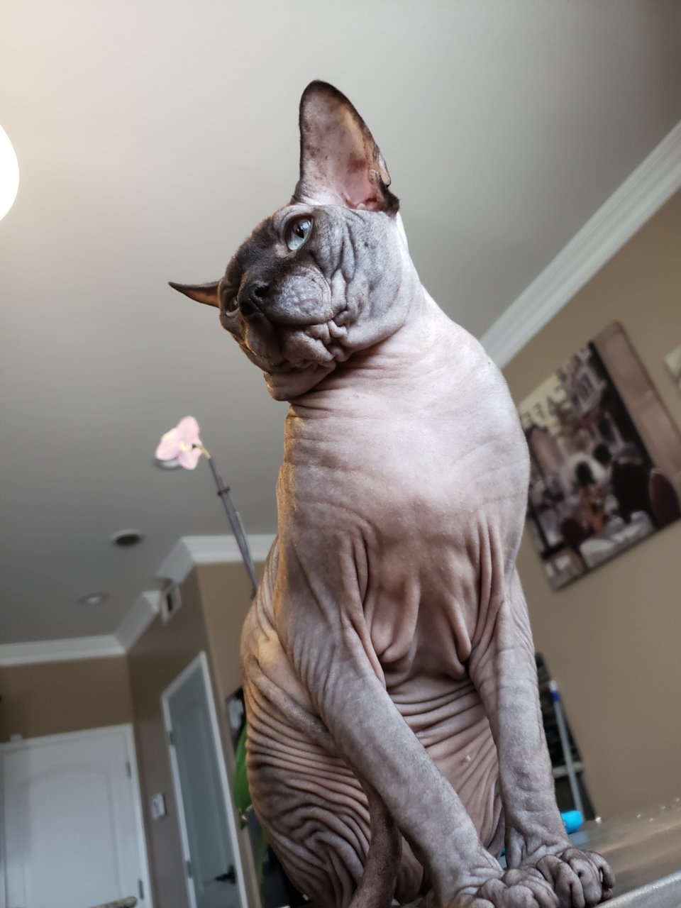 20180710_082335.jpg