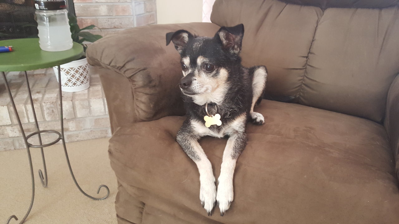 20180711_094959.jpg