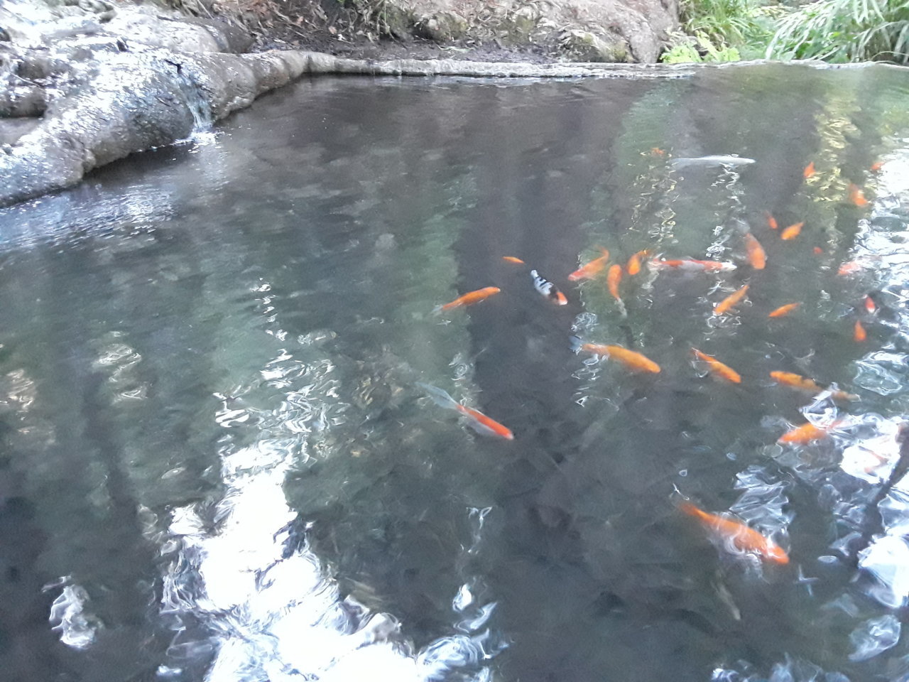 20180711_175623.jpg