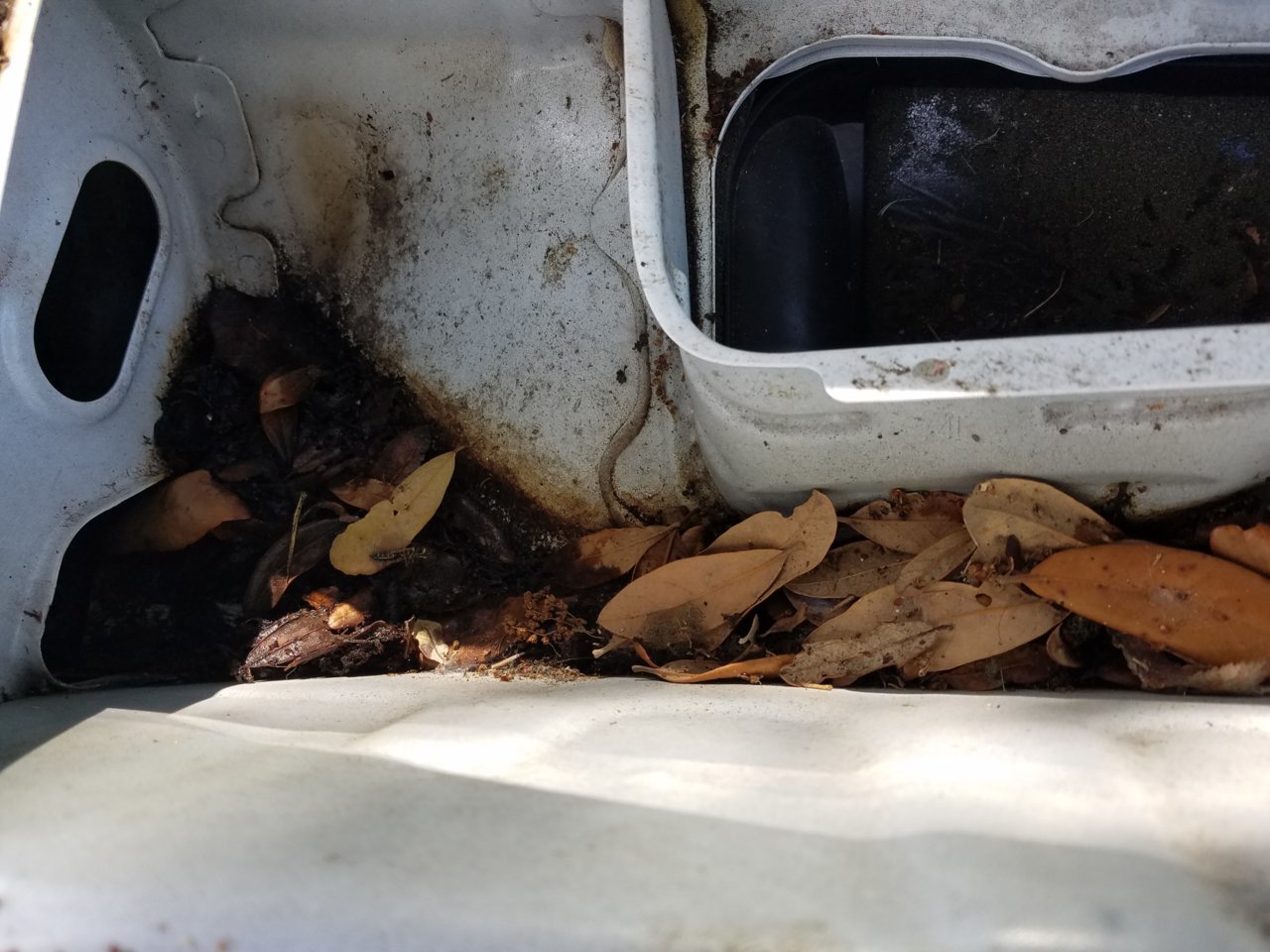20180712_103004.jpg