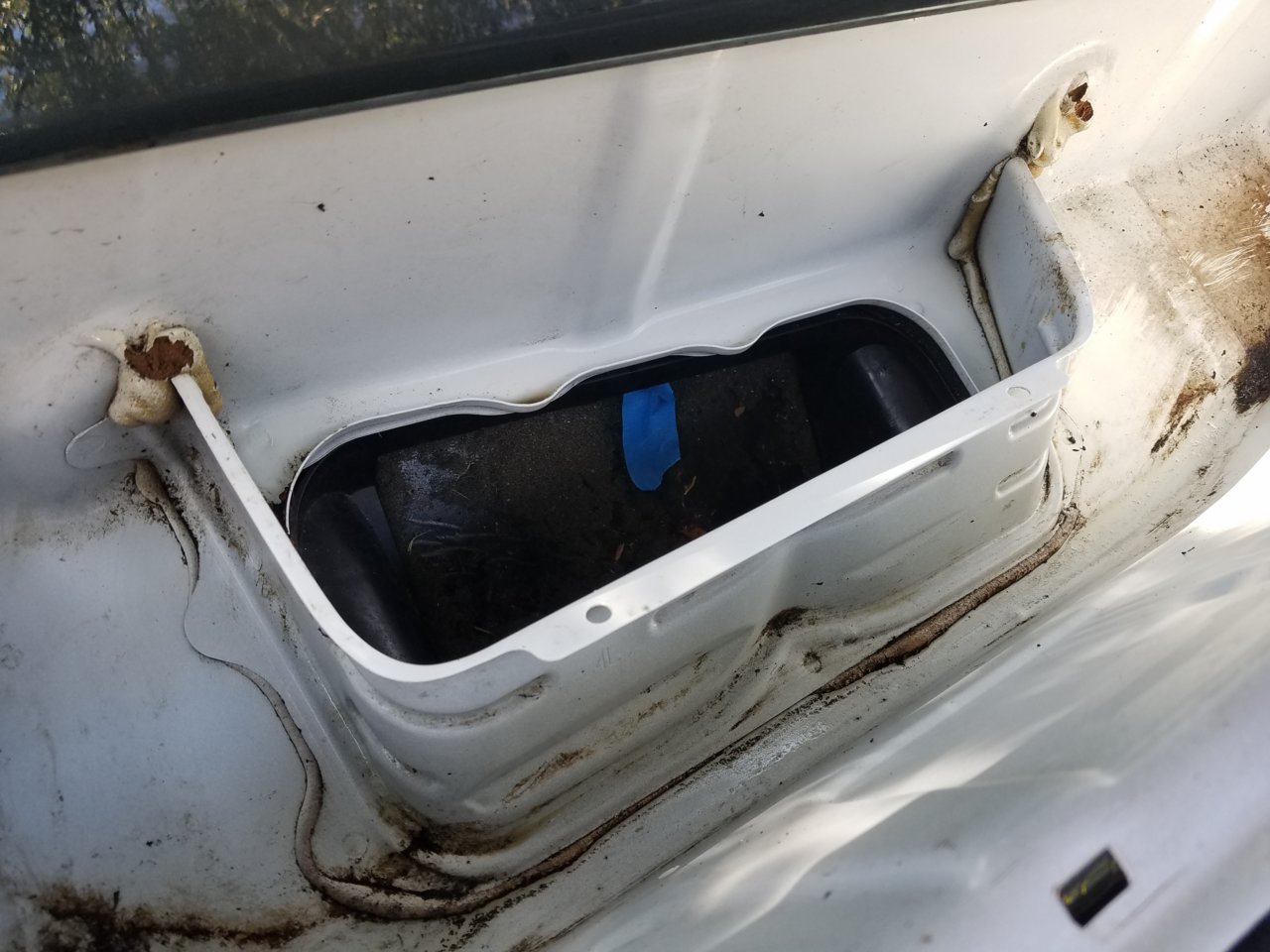 20180712_105233.jpg