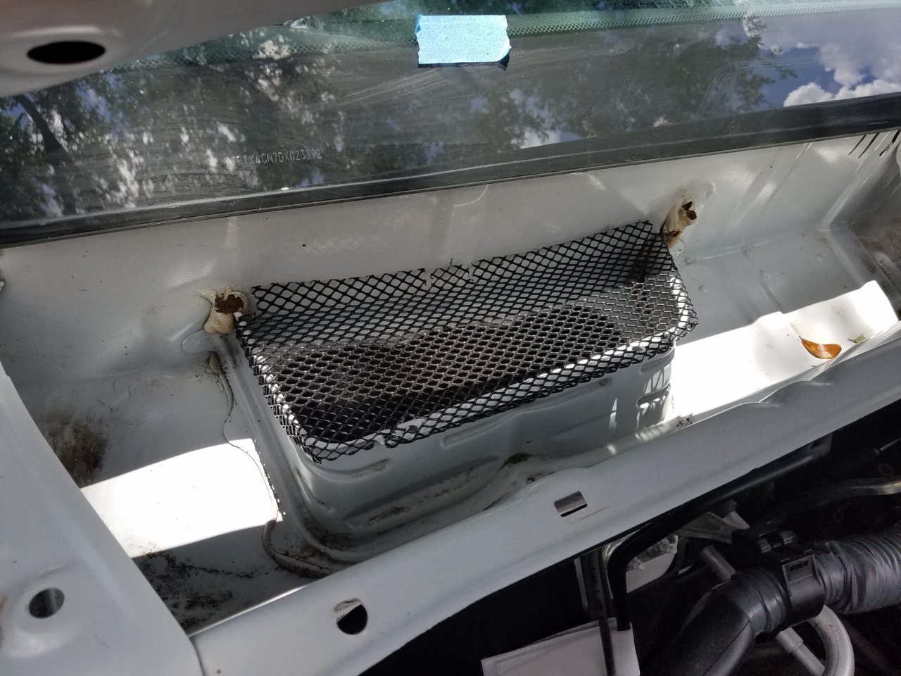 20180712_125433.jpg