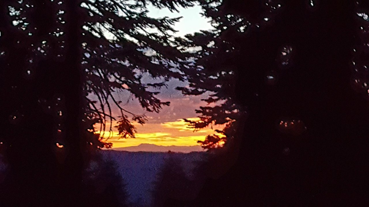 20180713_051341.jpg