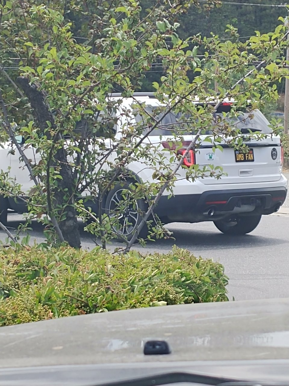 20180713_115759.jpg