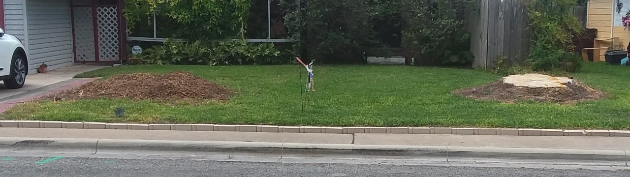 20180713_145743.jpg