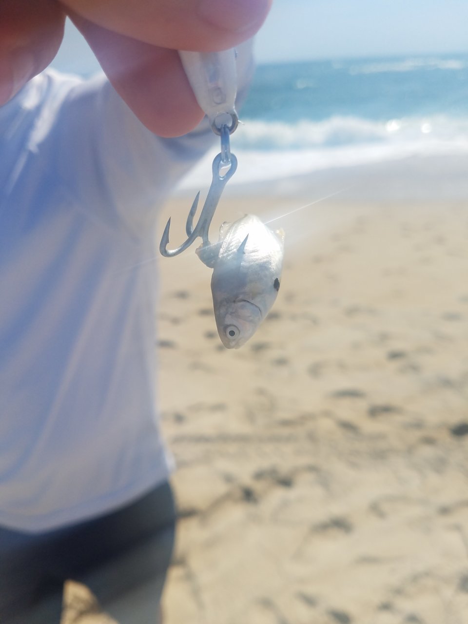 20180714_104555.jpg