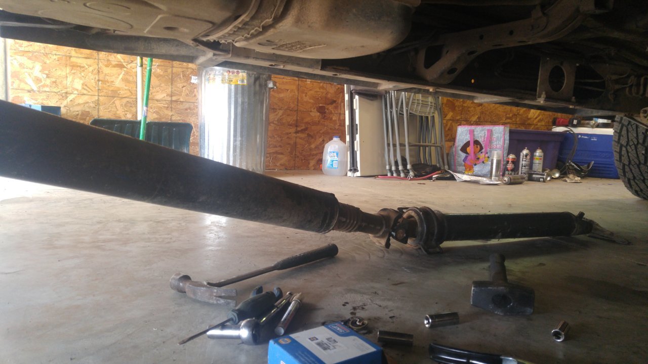 20180714_112019.jpg