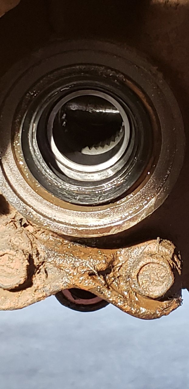 20180714_134300.jpg