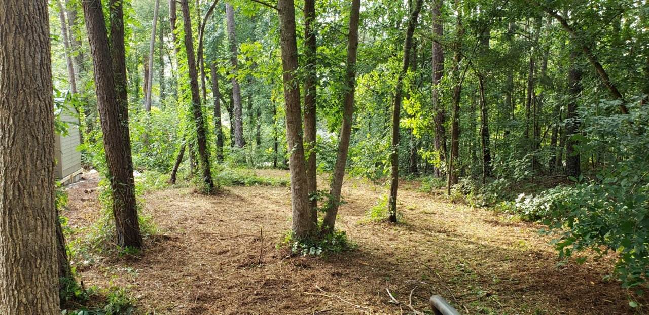 20180714_183559.jpg