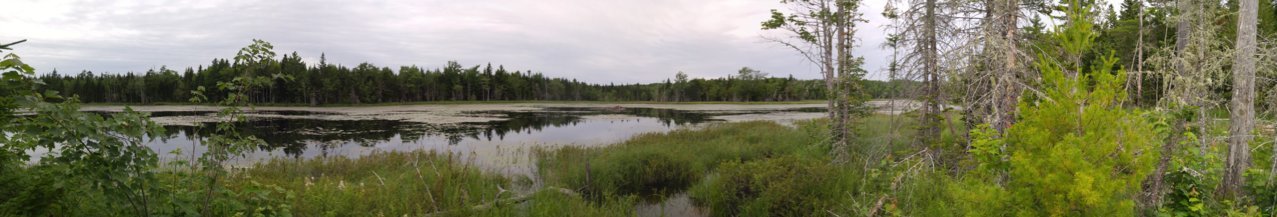 20180714_195234_Pano.jpg